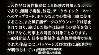 BLB-02 黒人巨大マラ 犯された日本人熟女 亡き夫の借金のカタにされ陵辱される4P輪姦セックス 【初黒人解禁作